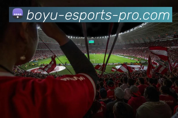 博鱼电竞官网APP 体育赛事宣传图